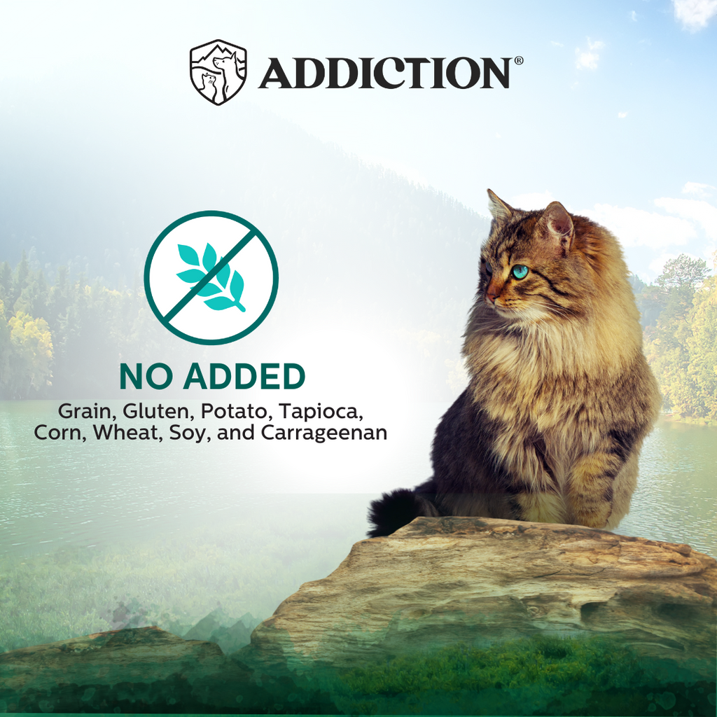Addiction Cat Wet Food Wild Islands Island Birds Chicken & Turkey