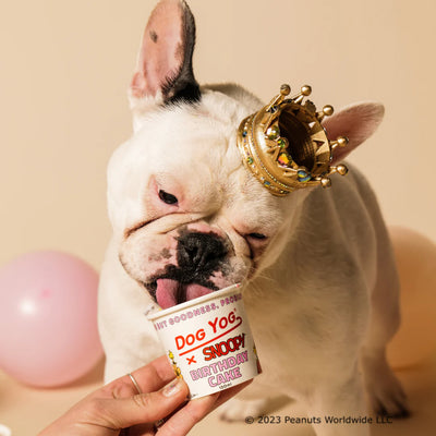 Dog Yog - Snoopy Ice Cream - Birthday Cake 120ml