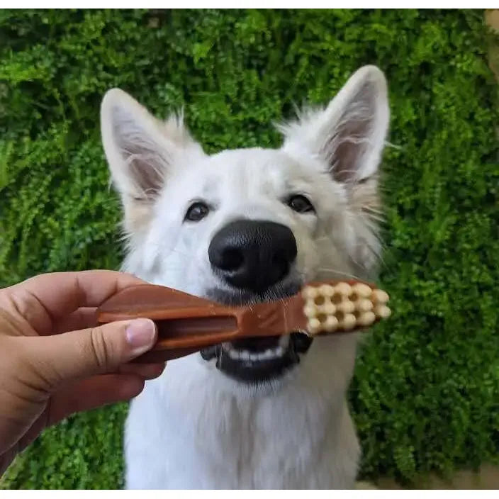 Whimzees Dental Dog Treats Toothbrush