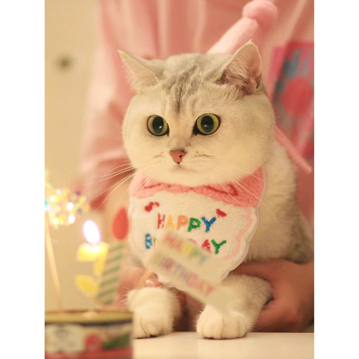 Birthday Bib For Pets