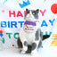 Birthday Bib For Pets