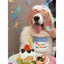 Birthday Bib For Pets