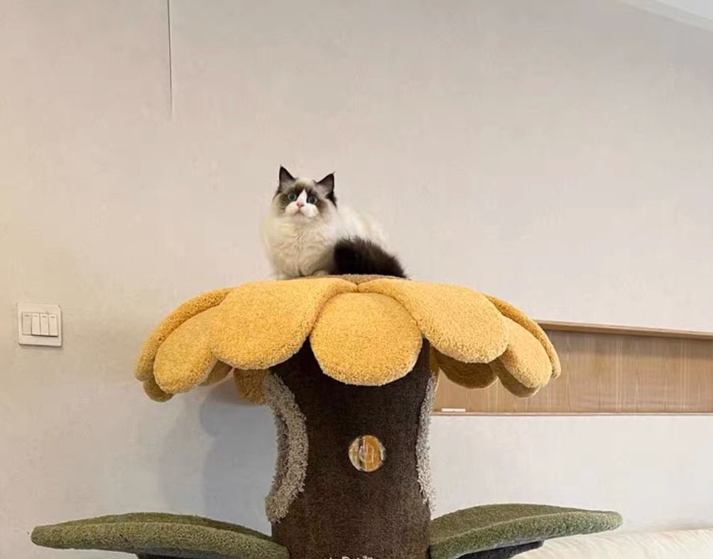 Camily Small "Sunflower" Cat Climbing Cat Tree