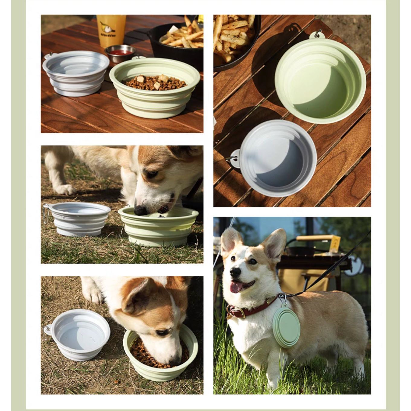 Portable Pet Travel Feeding Bowl