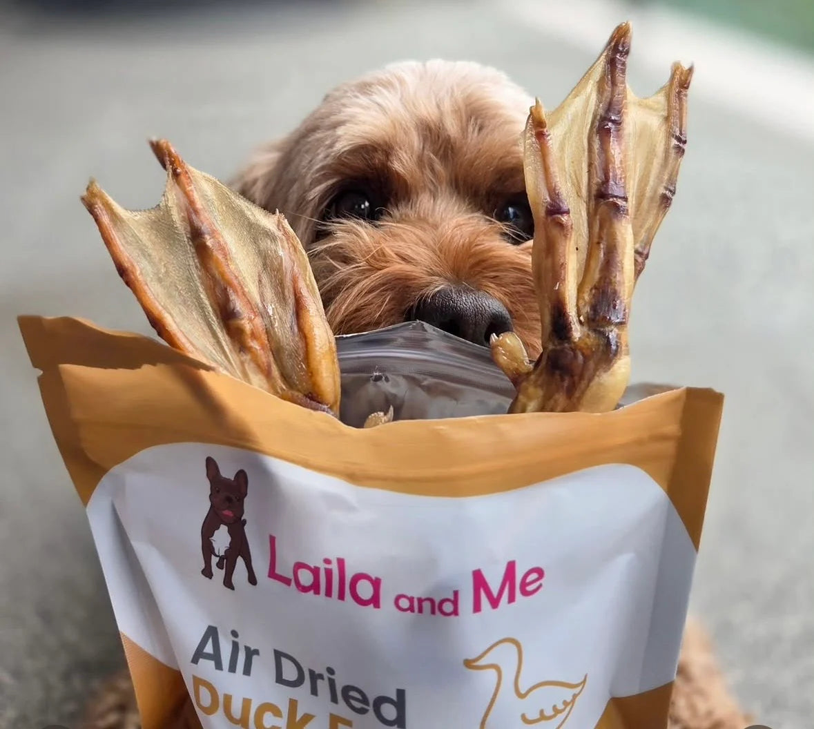 Laila and Me Dog Treat Duck Feet 12 pack