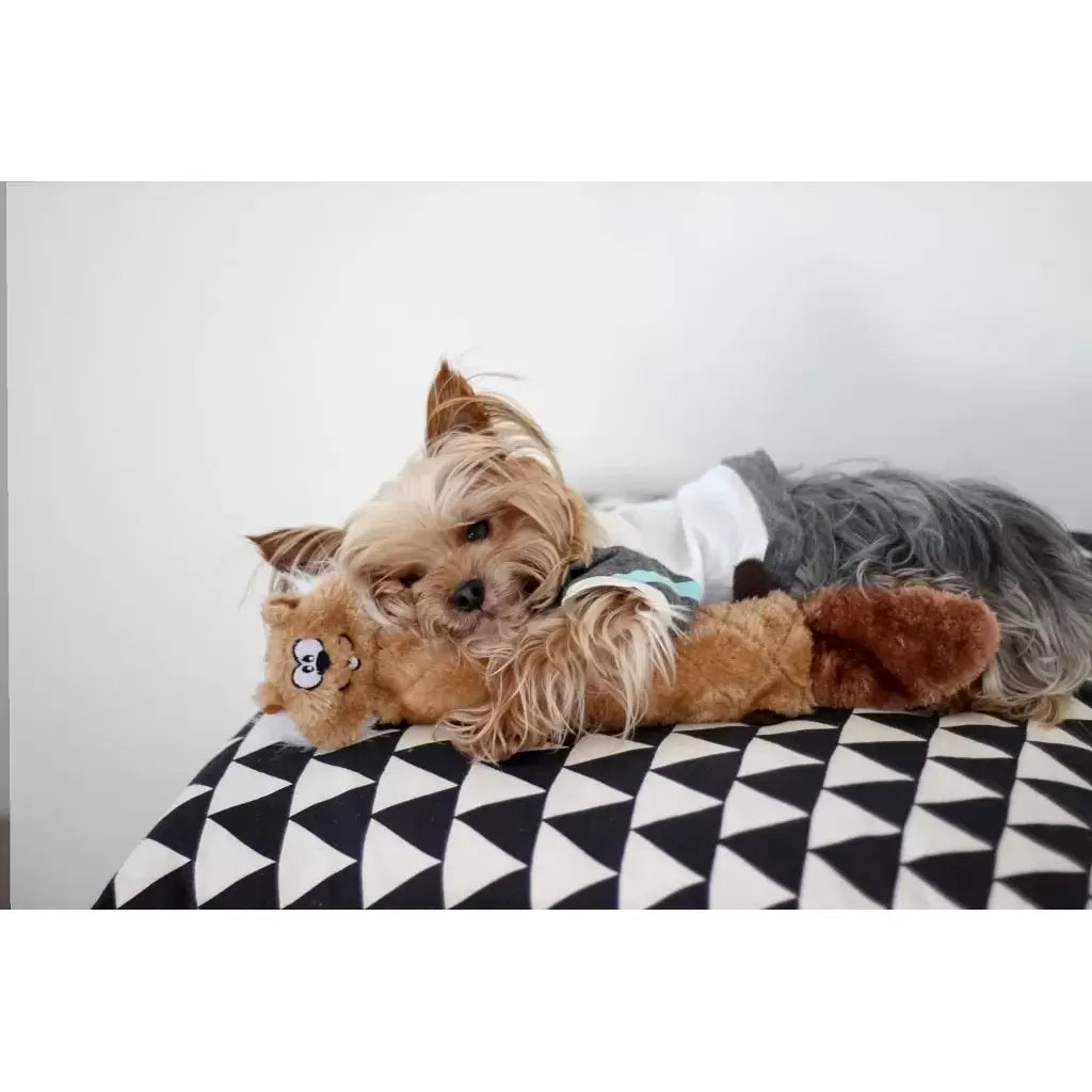 Zippypaws Plush Toys For Dog Jigglerz® – Chipmunk