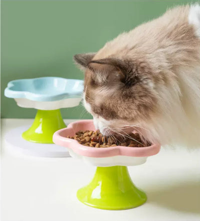 Ceramic Flower Pet Bowl