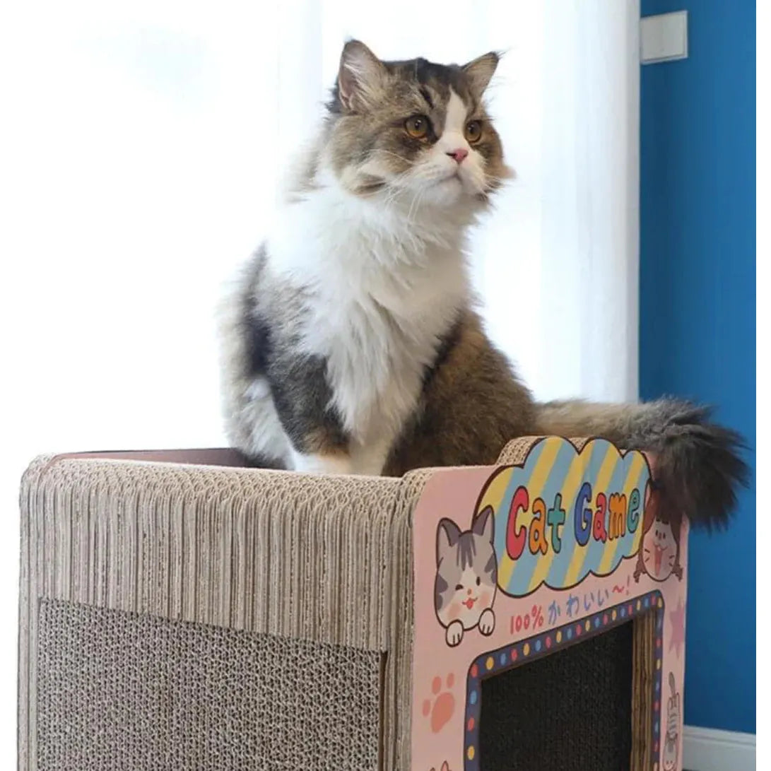 NIAN'GAO Claw Machine Cat Scratcher