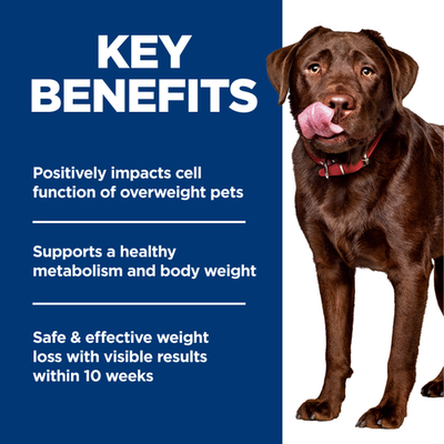 Hill's Science Diet Adult Dog Food Perfect Weight Large Breed Chicken & Brown Rice Recipe 11.3Kg