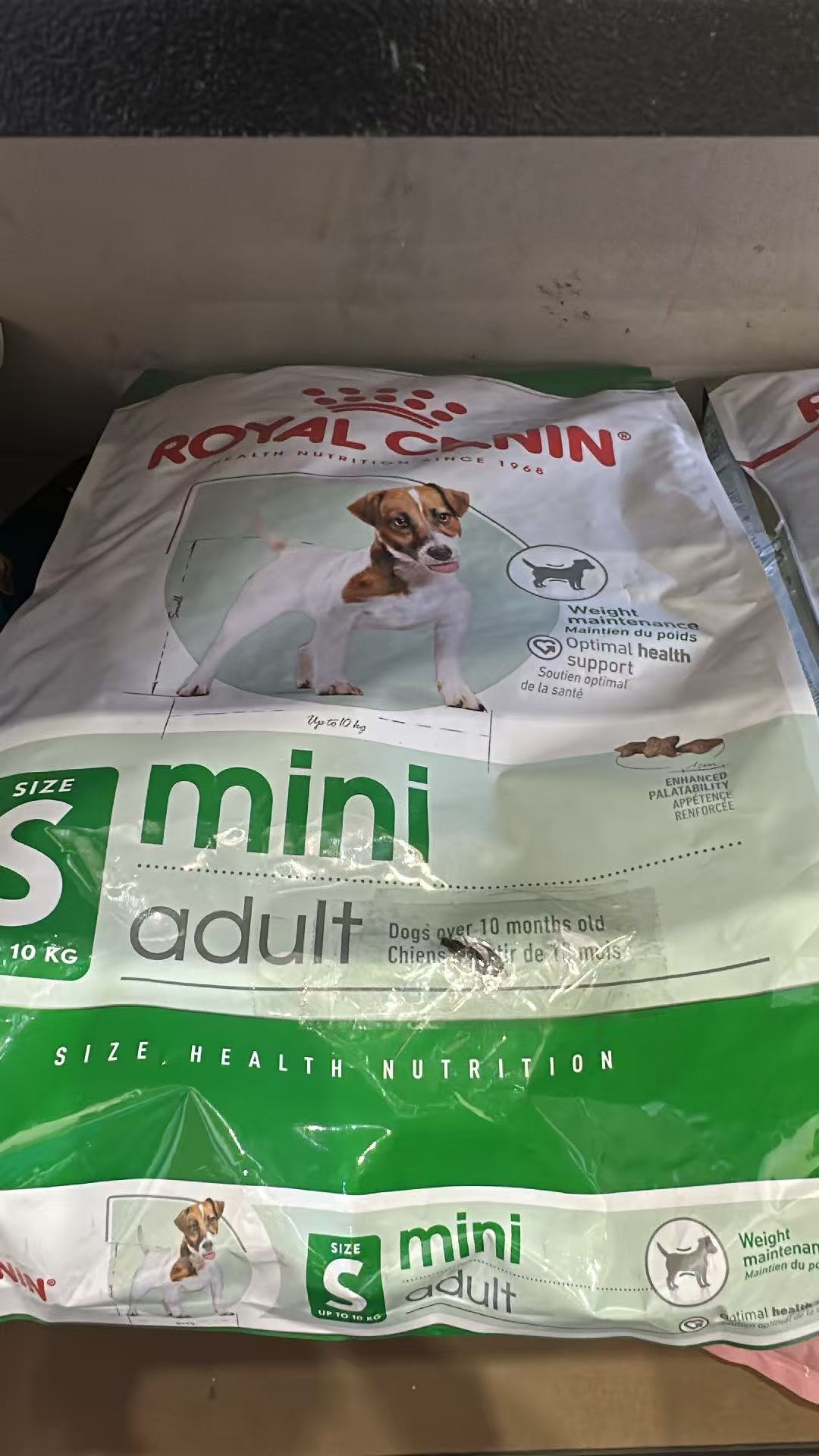 [Packaging Damage] ROYAL CANIN Mini Adult Dry Dog Food 8kg