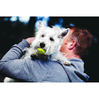 KONG Dog Toy Airdog Squeaker Balls XS 3PK