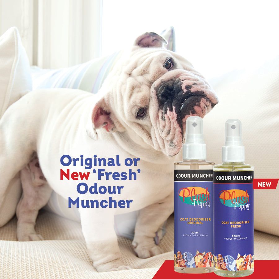 Plush Puppy - Odour Muncher Coat Deodoriser