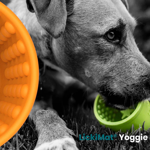 LICKIMAT Dog Bowl Yoggie Pot