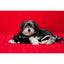 Zippypaws Plush Toys For Dog Jigglerz® – Skunk