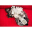 Zippypaws Plush Toys For Dog Jigglerz® – Raccoon