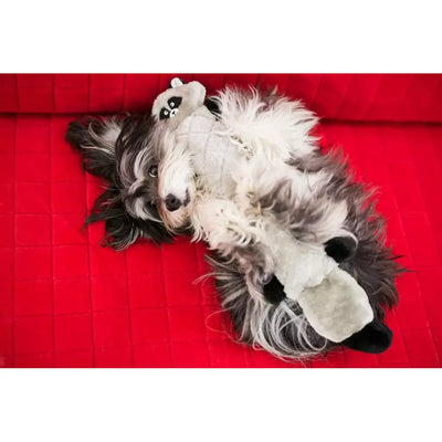 Zippypaws Plush Toys For Dog Jigglerz® – Raccoon