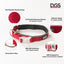 DGS Comet LED Safety Collar For Dogs