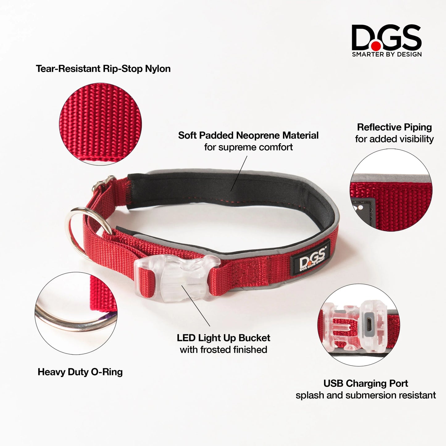 DGS Comet LED Safety Collar For Dogs