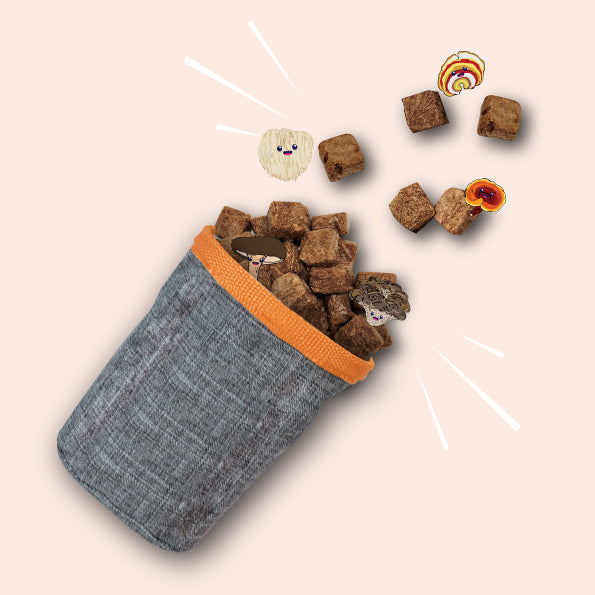 Naturawr Freeze-Dried Dog Treats Mushroom with Kangaroo 50g