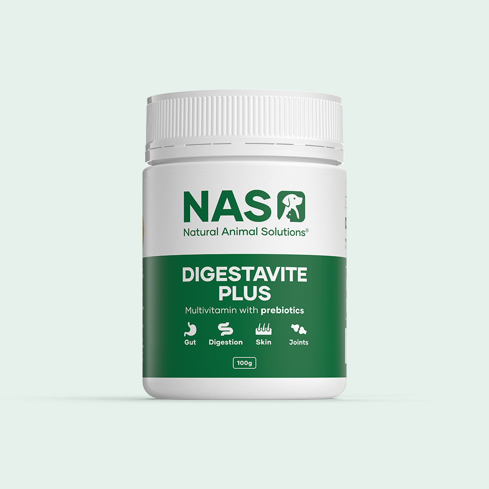 NAS Natural Animal Solutions - Digestavite Plus Powder 100g
