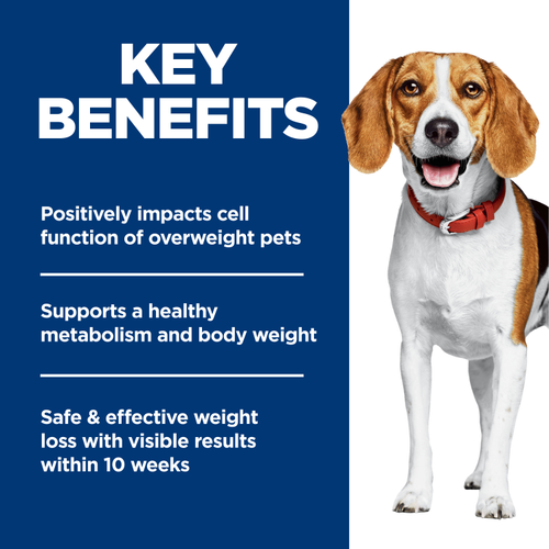 Hill's Science Diet Dog Dry Food Perfect Weight Small Bites