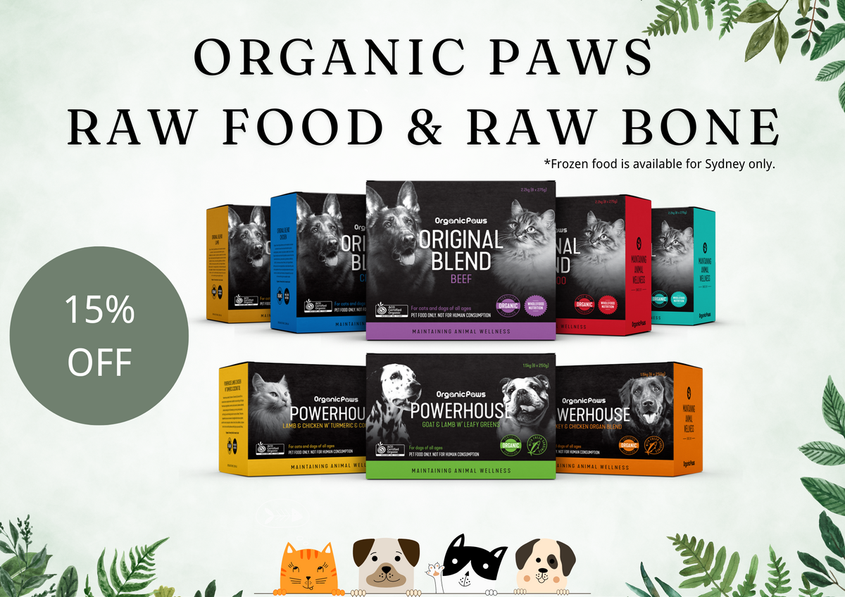 Pet Toys & Foods | Pet Products Australia – 77PAWS
