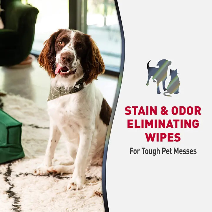 Nature's Miracle Stain and Odor Eliminating Wipes 30pcs