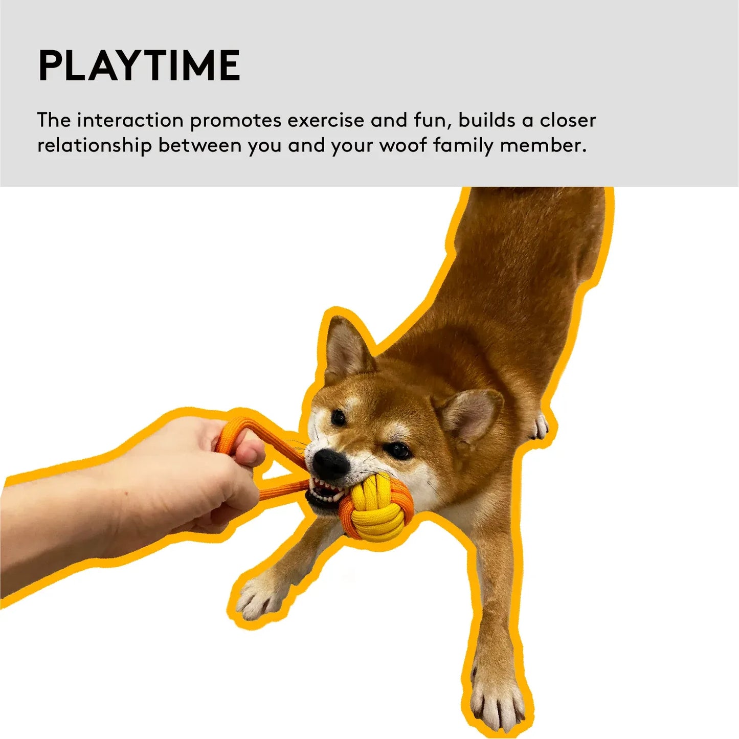 PAWZCITY Interactive Rope Ball With Loop - Taro
