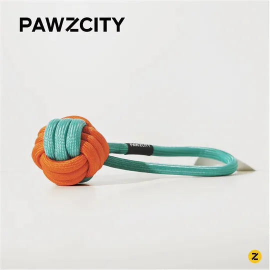 PAWZCITY Interactive Rope Ball With Loop - Rockmelon