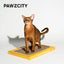 PAWZCITY Vintage Tape Cat Scratching Board - Style B