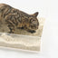 [SYD ONLY] PIDAN Composite Cat Litter 3.6Kg (Tofu Litter 60%+Bentonite Clay 30%+Starch Litter 10%)