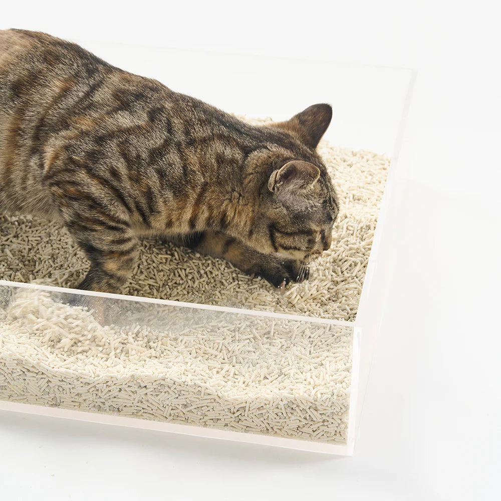 [SYD ONLY] PIDAN Composite Cat Litter 3.6Kg (Tofu Litter 60%+Bentonite Clay 30%+Starch Litter 10%)