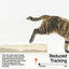 [SYD ONLY] PIDAN Composite Cat Litter 3.6Kg (Tofu Litter 60%+Bentonite Clay 30%+Starch Litter 10%)