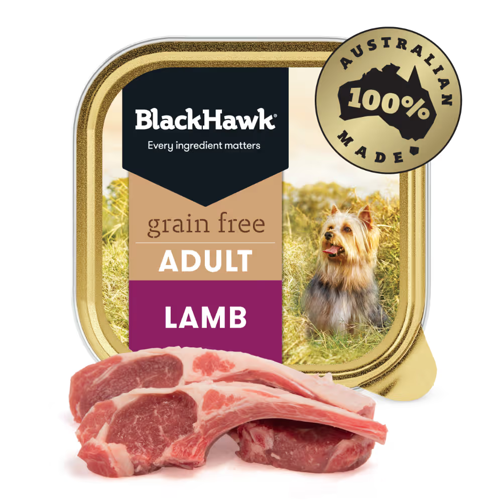 Black Hawk Dog Wet Food Grain Free Lamb Trays