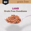 Black Hawk Dog Wet Food Grain Free Lamb Trays
