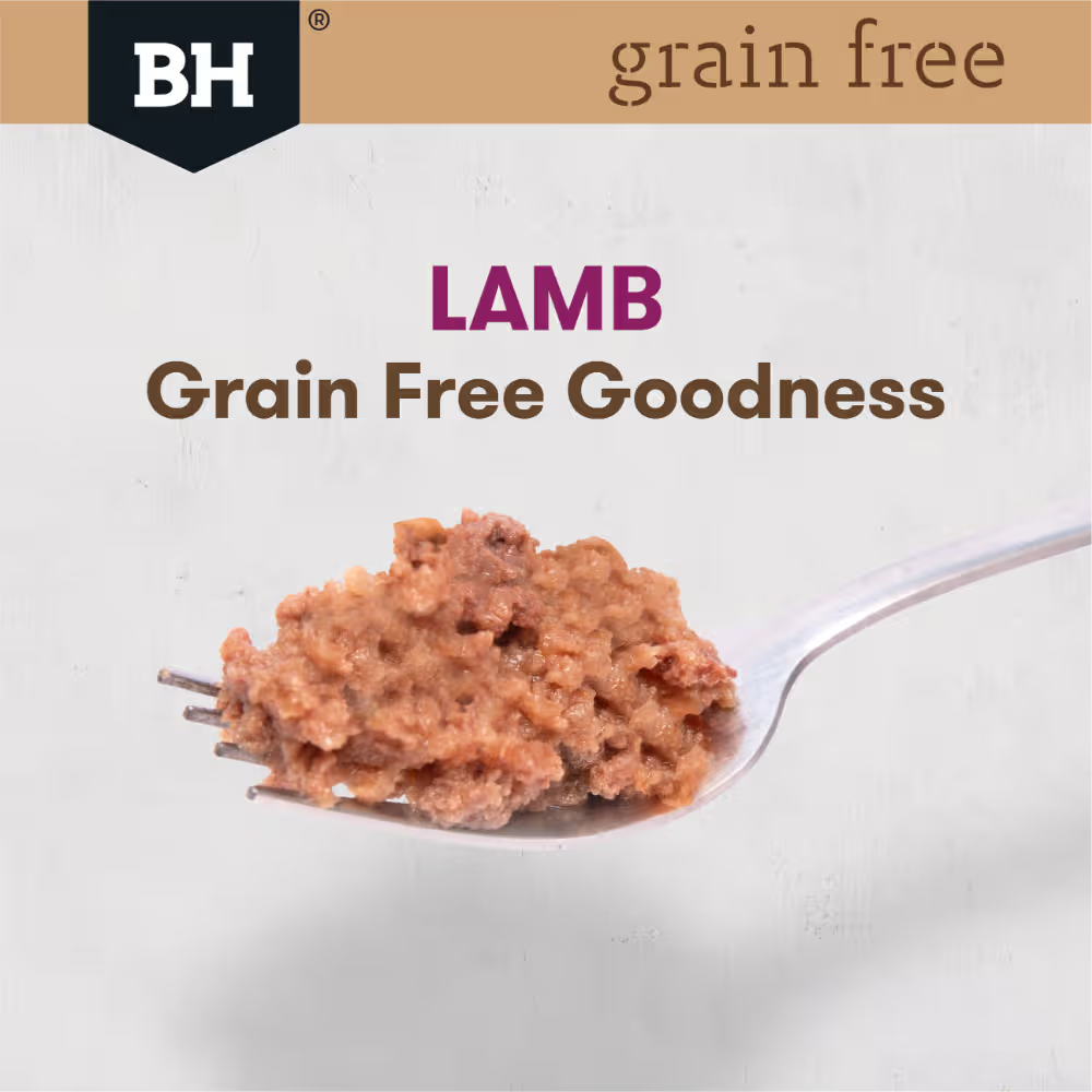 Black Hawk Dog Wet Food Grain Free Lamb Trays