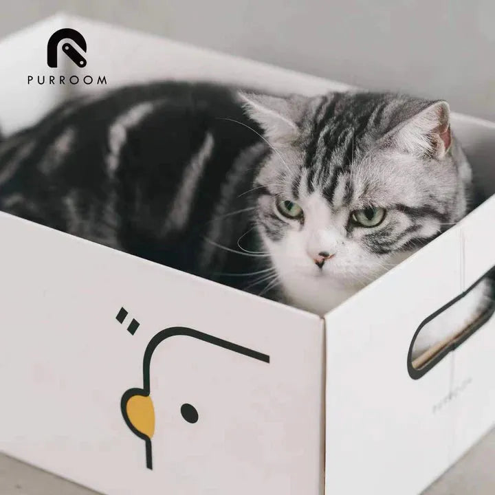 PURROOM Cat Scratching Box - Chick