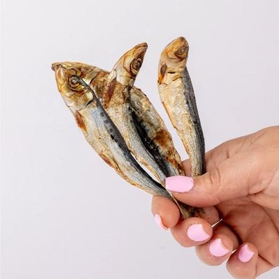Laila and Me Dog Treat Pilchards 80g