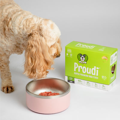 Proudi Dog Raw Food - Single Protein Lamb 2.4Kg