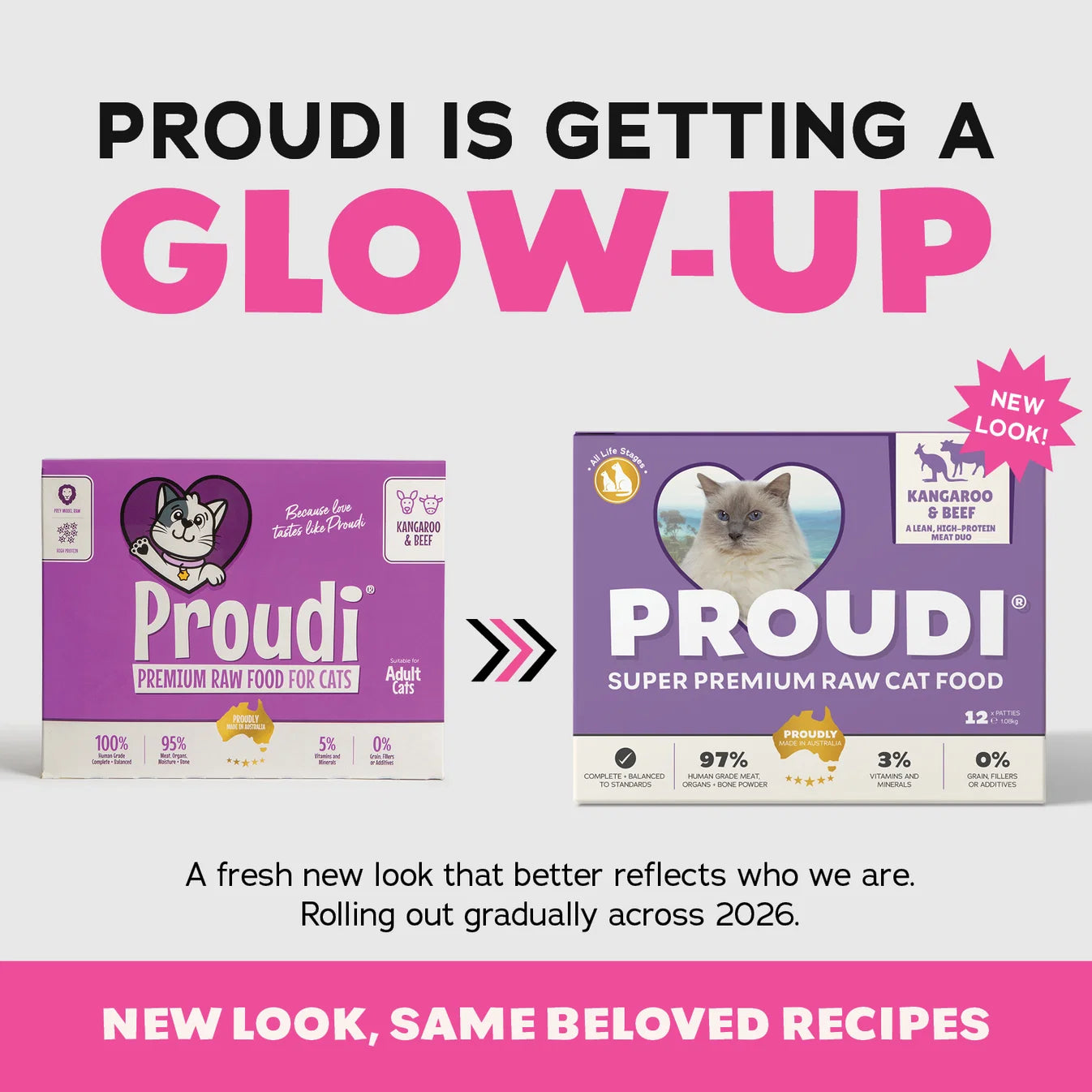 Proudi Cat Raw Food - Kangaroo & Beef 1.08Kg