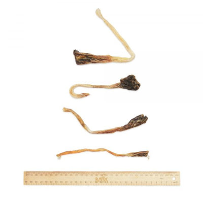 Bark & Beyond Dog Treats Kangaroo Tendons 6pcs