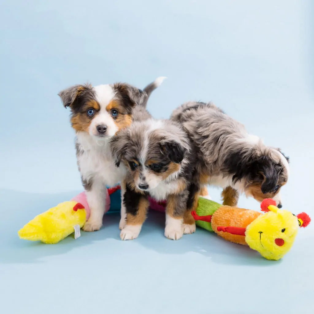Zippypaws Plush Toys For Dog Caterpillar – Deluxe with 7 Squeakers