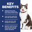 Hill's Science Diet Adult Cat Dry Food Adult 11+ Indoor Chicken Recipe 3.17kg