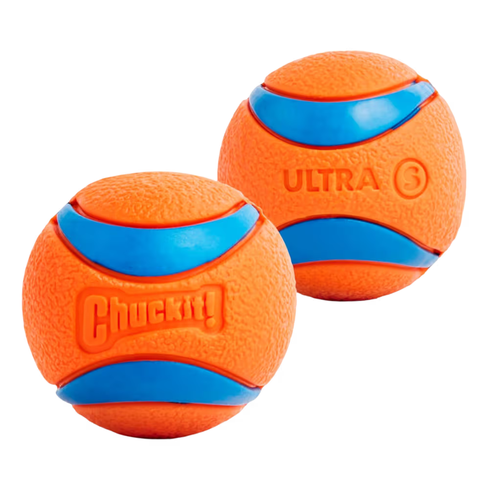 Chuckit! Dog Toy Ultra Balls Small 2 Pack