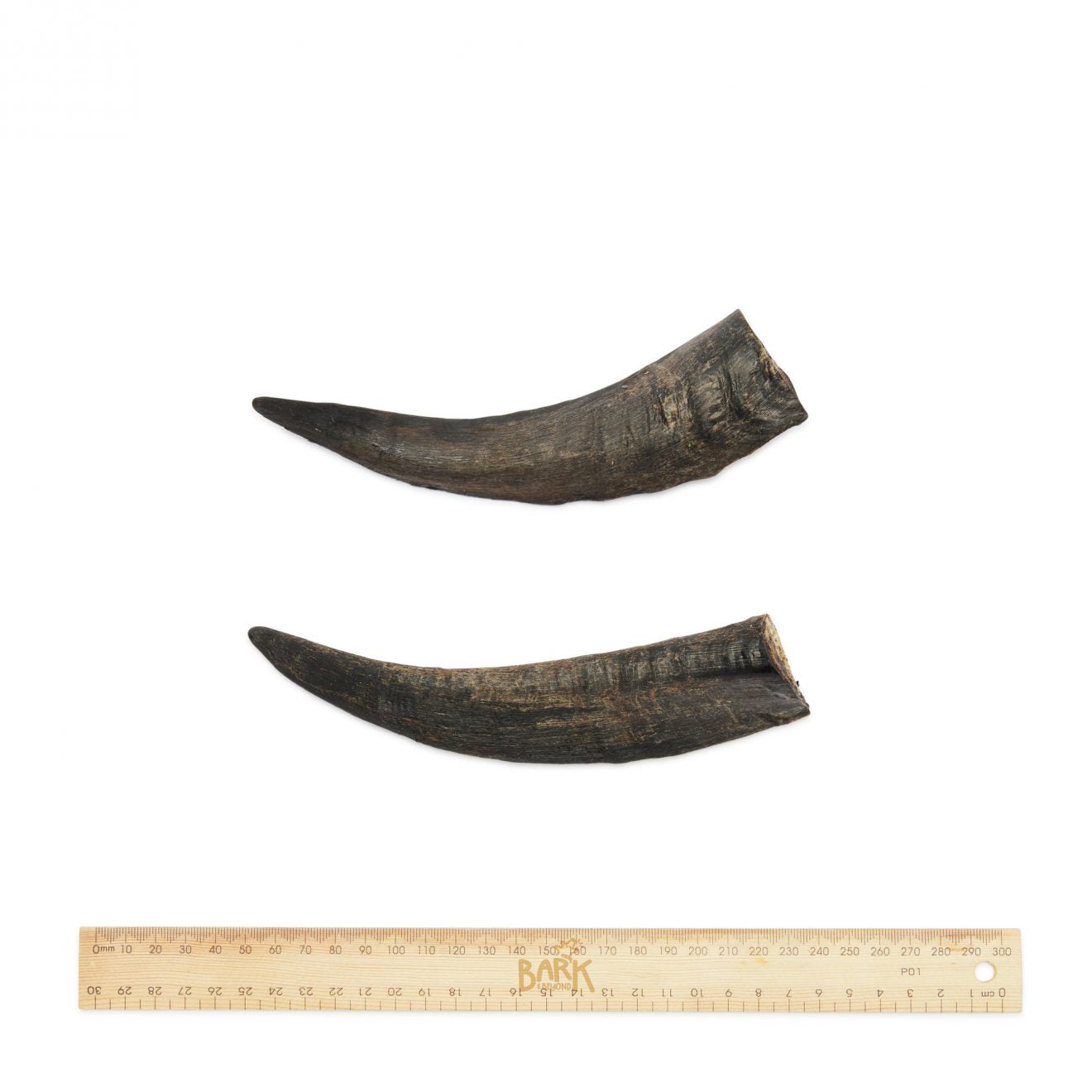 Bark & Beyond Dog Treats Goat Horn Small
