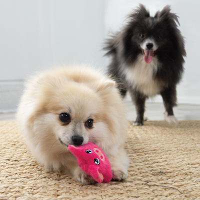 KONG Dog Toy Snuzzles Mini Pig