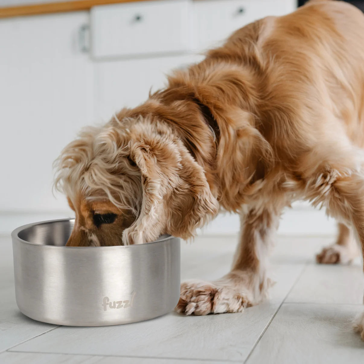 Fuzzl Titan Thermal Dog Bowl 20cm | Brushed Stainless Steel