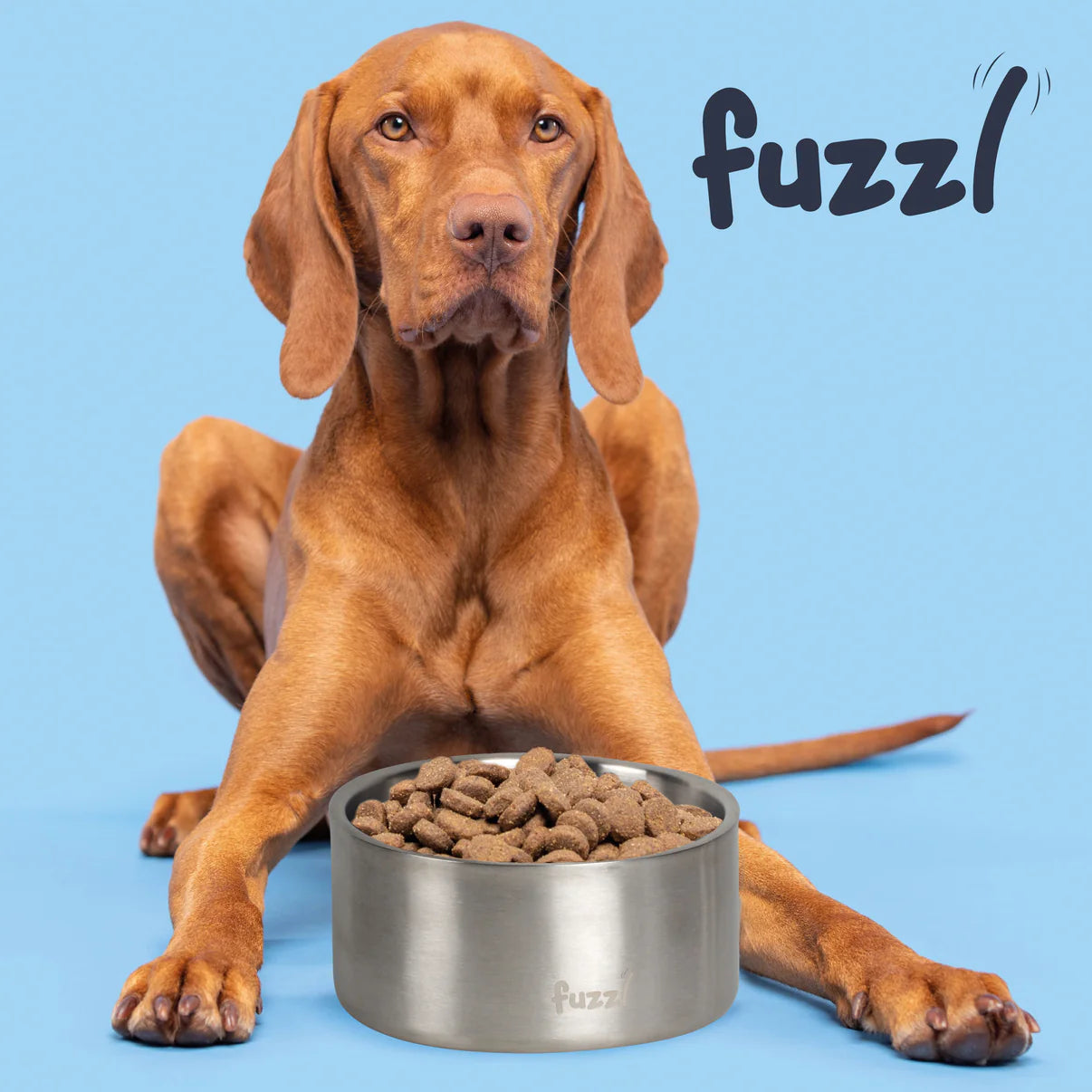 Fuzzl Titan Thermal Dog Bowl 20cm | Brushed Stainless Steel