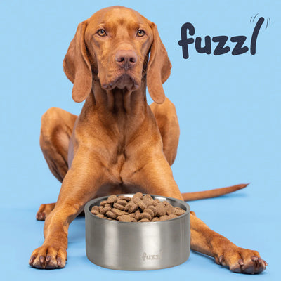 Fuzzl Titan Thermal Dog Bowl 20cm | Brushed Stainless Steel