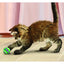 KONG Cat Toys TENNIS BALLS WITH BELLS 3PK